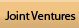 Joint Ventures